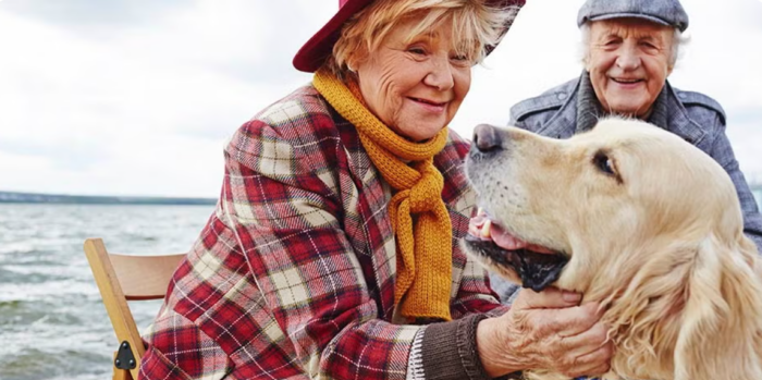 Convivir con animales mejora la salud física y emocional de los adultos mayores