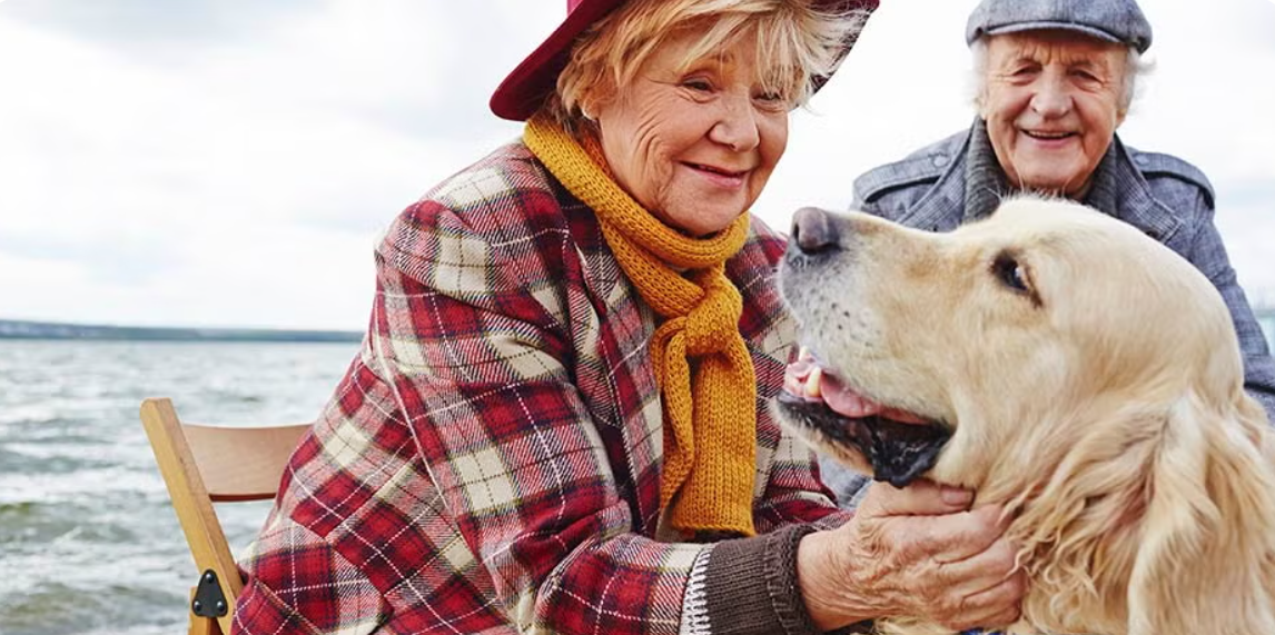 Convivir con animales mejora la salud física y emocional de los adultos mayores
